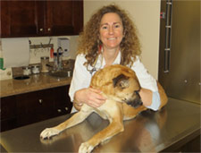Veterinarian from Webb Bridge